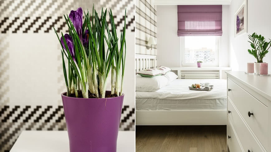 Спальня светлый дизайн фиолетовый аксессуар