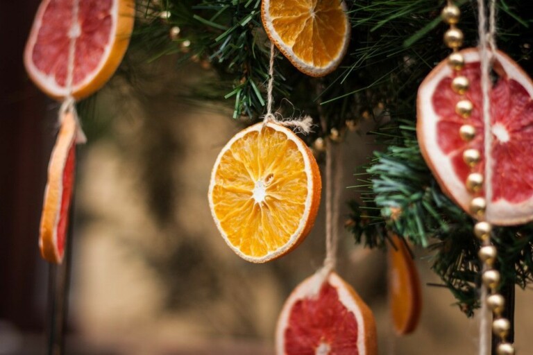 5 простых способов засушить апельсин для декора - Лайфхакер