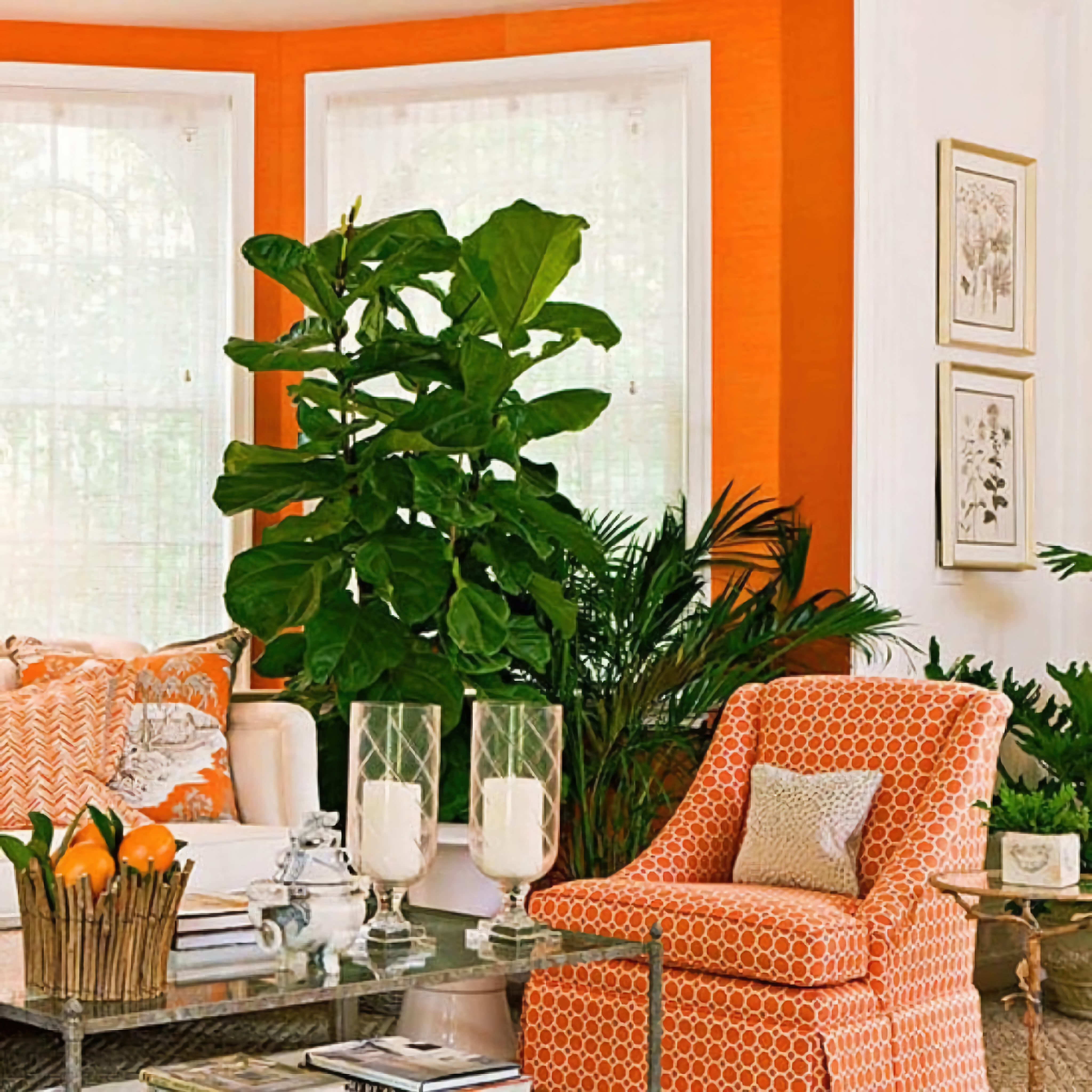Гостиная. Оранжевые кресла, окно, фрукты, кресло, подушки